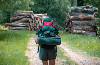 Découvrir la beauté naturelle de la Belgium